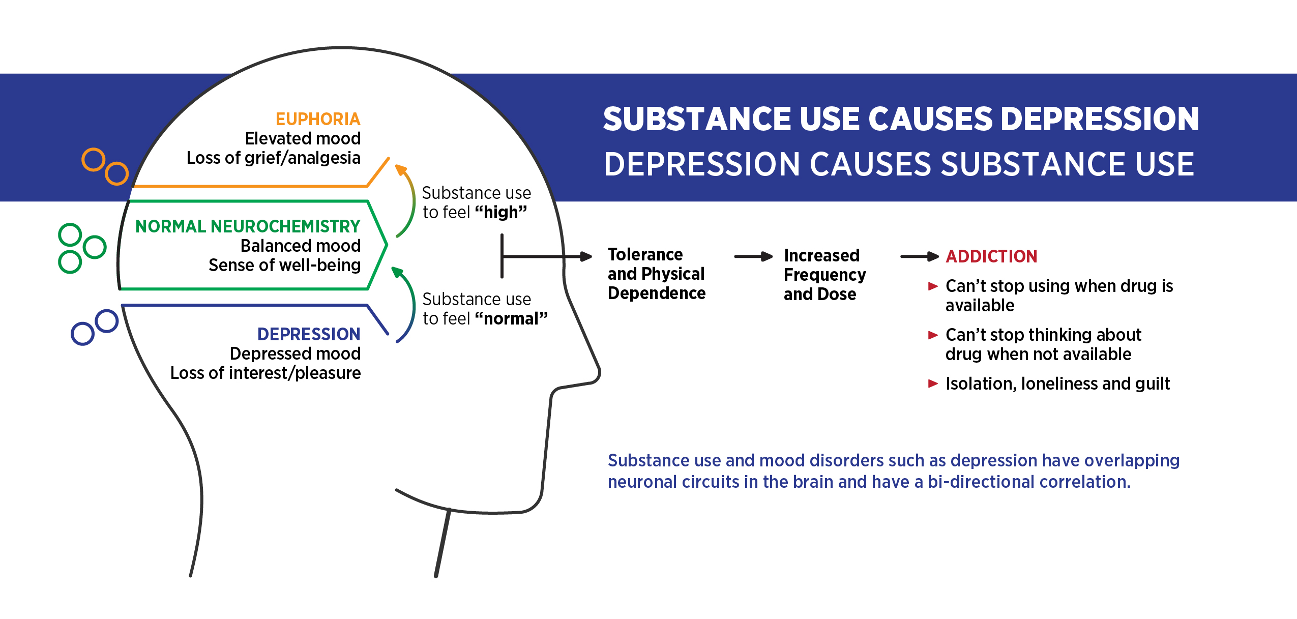 Flow chart diagram of interdependent relationship between depression and substance use, showing effects on mental and physical symptoms and behaviors related to addiction.
